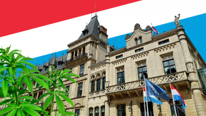 Luxembourg Plans To Be The First Cannabis Legal Country In Europe