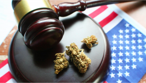 Federal Bill Plans To End Federal Prohibition On Cannabis In The US