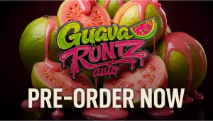新品发布：Guava Runtz Auto