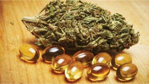 How To Make Cannabis Capsules Step-By-Step