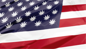 Federal Legalization of Cannabis in the US Could Do More Harm Than Good?