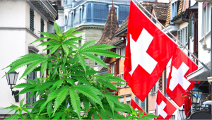 Zurich Switzerland to Allow Recreational Cannabis Sales as a Pilot Program