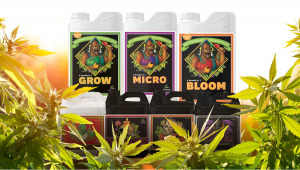 Tabella di alimentazione di Advanced Nutrients per Autoflowers | Guida alluso