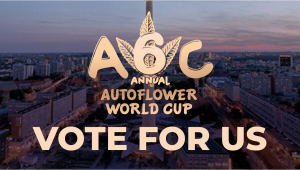 Stimme für uns beim Autoflower World Cup 2026 ab!