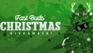 Vinci semi gratis grazie al nostro Giveaway di Natale 