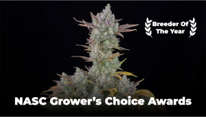 Fast Buds triumfuje na NASC Grower’s Choice Awards 2025