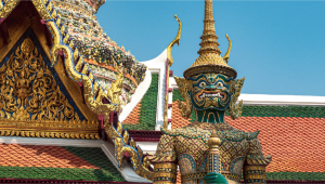 Features of Growing cannabis in Thailand