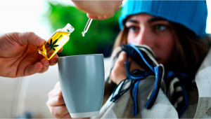 Le cannabis, peut-il aider à lutter contre le rhume et la grippe?