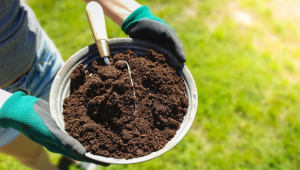 Best Soil For Cannabis - What is Good Soil For Growing Weed?