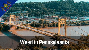 Weed in Pennsylvania: Cannabis Legal Status Guide