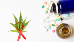 Est-ce que les Têtes de Cannabis Peuvent être Utiliser pour faire des Extractions?
