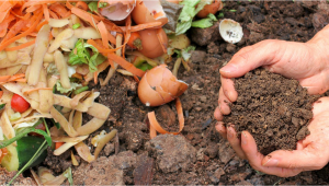 How to Compost and Make Super Soil for Cannabis Plants