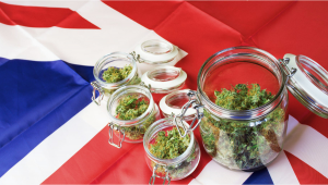 UK: A New Study Surveyed Users About the Best Model of Cannabis Regulation