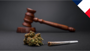 France: Parliament to Debate Cannabis Legalization