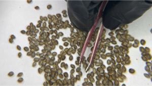 Our Quality Check Process