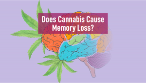 Does Cannabis Cause Memory Loss?