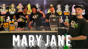 Mary Jane 2024: A primeira exposição legal de canábis da Alemanha