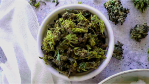 Ernährungsphysiologische Vorteile des Konsums von unbehandeltem Cannabis
