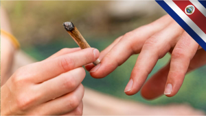 Costa Rica: Der Kongress hat den ersten Schritt zur Legalisierung von medizinischem Cannabis gemacht