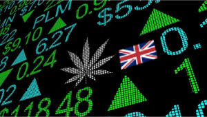 Analysten: Großbritannien ist Europas am schnellsten wachsende Drehscheibe für Cannabis-Investitionen