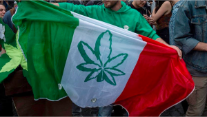 500,000 Signatures in Less Than a Week: Italy Wants Cannabis Decriminalization