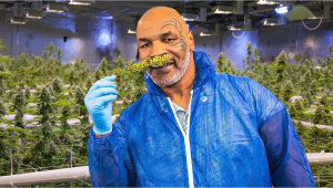 Mike Tysons neue Cannabis-Firma wird national tätig