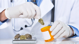 Medical Cannabis Associated With Lower Levels Of Opioid Use Among Cancer Patients