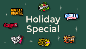 Holiday Price Drop: Bestsellers from $9
