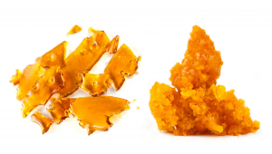 Concentrati: Shatter vs Wax