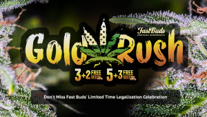 Die kalifornische GoldRush-Feier von Fast Buds bietet kostenlose Samen: 3 + 2 und 5 + 3