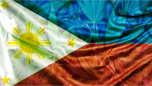 Weed in The Philippines: Cannabis Legal Status Guide