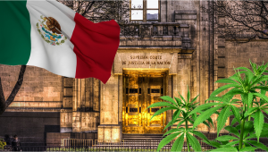 Mexican Supreme Court Calls Off Recreational Cannabis Prohibition 