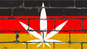 Germany’s Three Major Parties Mull Over Cannabis Reform