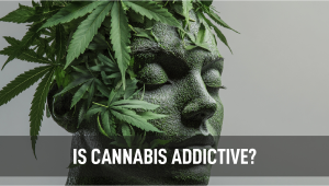 Is Cannabis Addictive? Here’s What The Research Tells Us