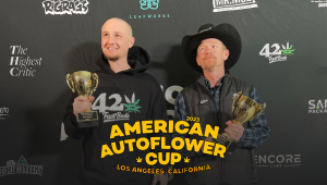 Fast Buds voittaa American Autoflower Cup 2023 -kilpailun