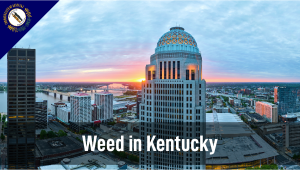 Weed in Kentucky: Cannabis Legal Status Guide