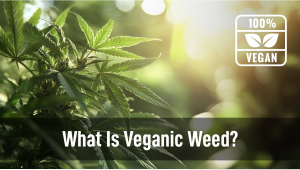 What Is Veganic Weed?