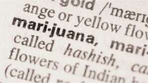 The Weed Dictionary: Stoners Slang Explained