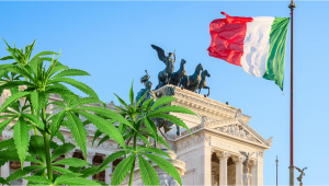 Italy: A Plan to Legalize Home Cultivation of Cannabis Set in Motion