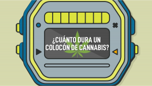 ¿Cuánto dura un colocón de cannabis?