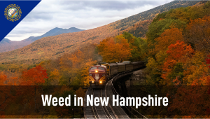 Weed in New Hampshire: Cannabis Legal Status Guide