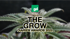 Ganhamos Dois Prémios nos Grow Diaries Awards 2023!