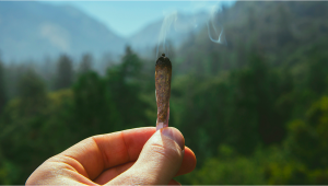 Canna Travel: Stoner-Friendly Countries