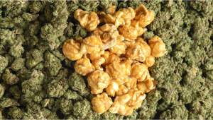 Cosa sono i Popcorn Buds