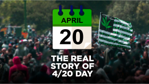Celebrando il 420: La storia dietro il 20 Aprile