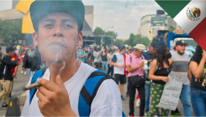 Mexico: Cannabis May be Legalized This Legislative Session