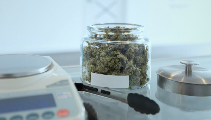 Weed Scales: The Most Accurate Way to Weigh Cannabis