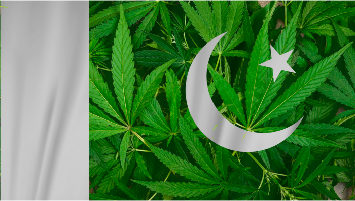 Weed in Pakistan: Cannabis Legal Status Guide