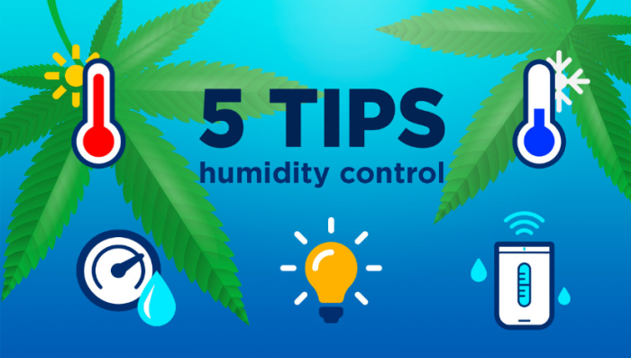 5 Top Tips On Controlling Humidity During The Growing Period