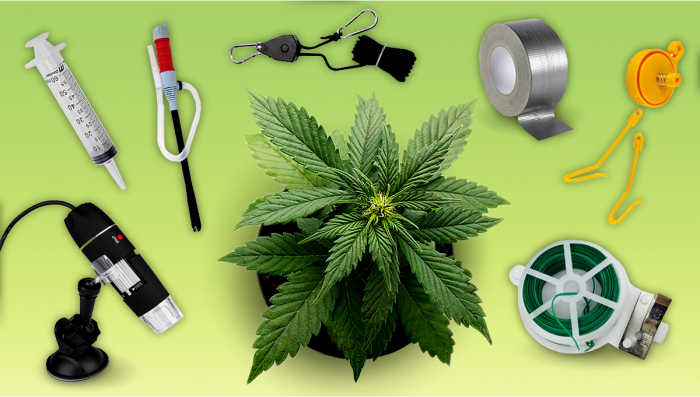 11 Cheap Tools & Tricks For A Fast and Clean Marijuana Hand Trim!